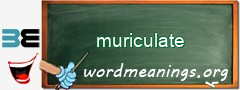 WordMeaning blackboard for muriculate